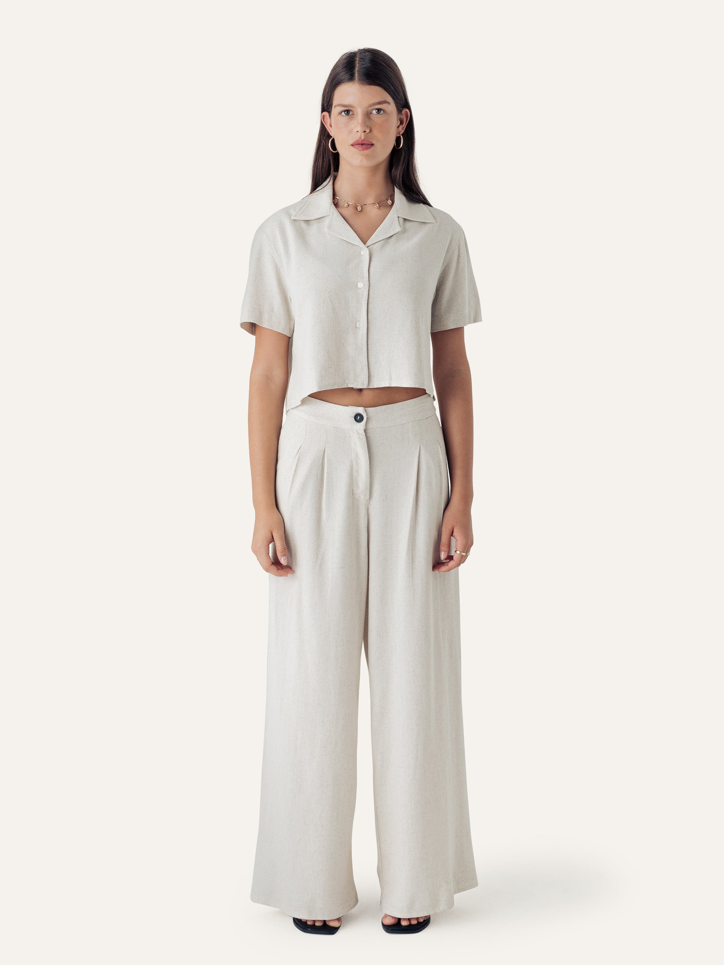 The Pleated Trousers